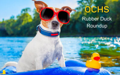Rubber Duck Roundup Recap