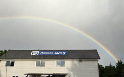 Oregon Coast Humane Society Purchases 8.66 Acres from Lane County, Marking Major Step Toward Expanded Animal Services