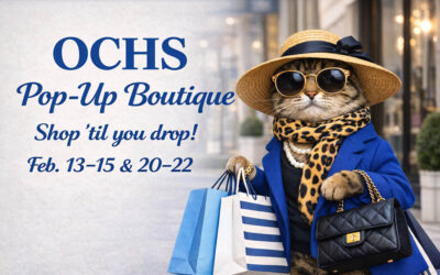 Pop-Up Boutique filled with treasures to Benefit Animals at OCHS