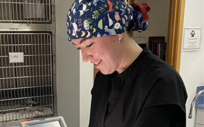 Oregon Coast Humane Society Veterinary Clinic Welcomes Future Veterinarians Through OSU Internship Program