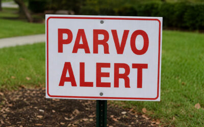OCHS Warns Community About Confirmed Cases of Parvovirus in Florence