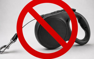 Why Retractable Leashes Can Be Dangerous